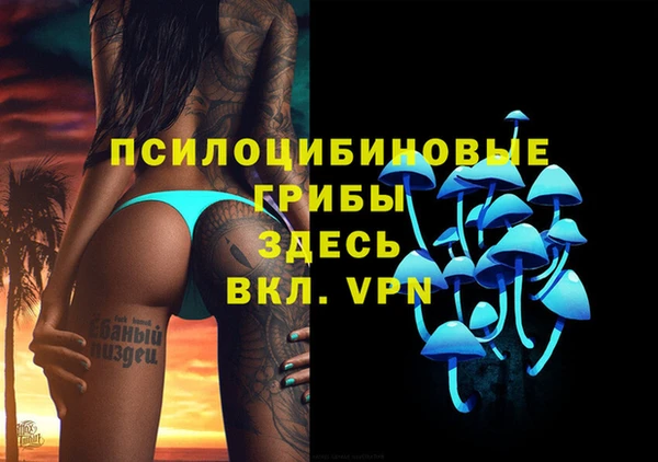 таблы Алексеевка