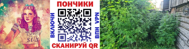 цена   Гдов  МАРИХУАНА THC 21% 